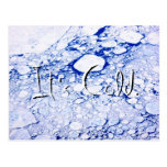 It's Cold. Postcard