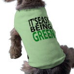 IT'S EASY BEING GREEN pet clothing