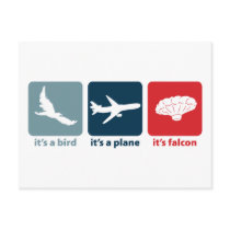 It's Falcon (the Balloon Boy)! Postcards