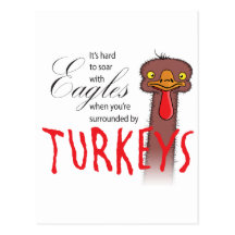 It's Hard To Soar With Eagles... Post Cards