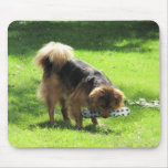 It's mine..all mine! mousepad