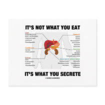 It's Not What You Eat It's What You Secrete