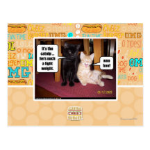 It's the catnip postcard