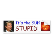 It's the SUN STUPID! Bumper Sticker