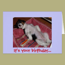 It's your birthday... cards