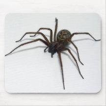 Itsy Bitsy Mouse Mat