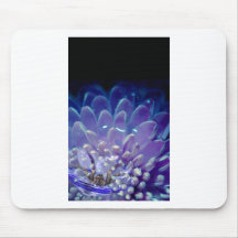 ITSY BITSY TAPIS DE SOURIS