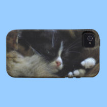 Itty Bitty Kitten  iPhone 4 Case casemate cases