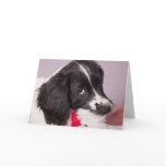 I've eaten Santa Claus Card