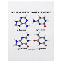 I've Got My Bases Covered (Chemistry DNA Bases)