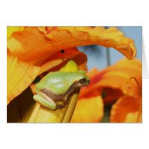 I've Got My Eye On You Greeting Card