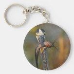 I've Got My Eyes on You Key Chains
