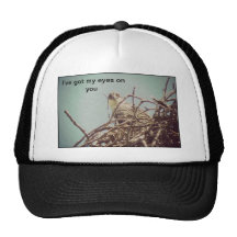 I've got my eyes on you trucker hat