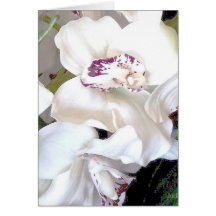 Ivory Blessings Card