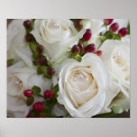 Ivory Roses on canvas posters