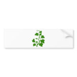 ivy bumper stickers