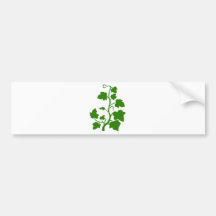ivy bumper stickers