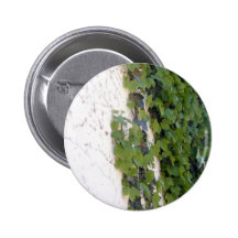 Ivy Button