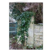 "Ivy Covered Gate" Northumberland England Cards