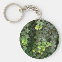 Ivy Vine 6 Keychains