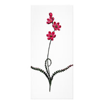 Ixia Crispa Customized Rack Card