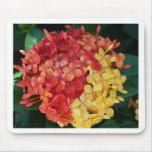 Ixora Flower Mix Mouse Pads