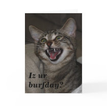 Iz ur burfday? humourous photo birthday card