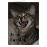 Iz ur burfday? humourous photo birthday card