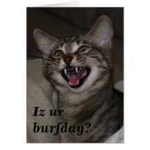 Iz ur burfday? humourous photo birthday card