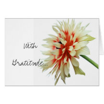 j0407278, avec gratitude… carte de vœux