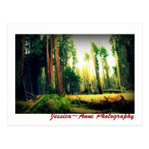 J 29 eleven postcard