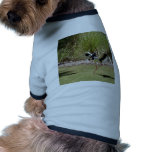 Jabau Northern Territory Bird Dog T Shirt