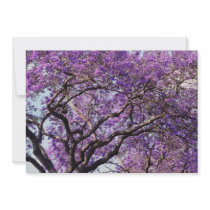 Jacaranda tree in spring bloom flowers custom invitation