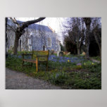 Jacinthes des bois à l'église de Kelsale Posters