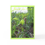 JACK IN THE PULPIT II GREETING CARD