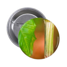 Jack-in-the-pulpit Pinback Button