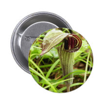 Jack in the Pulpit Pins