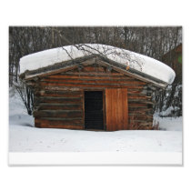 Jack London's Log Cabin