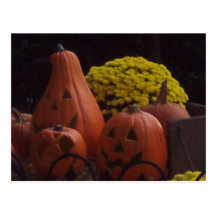 Jack-O-Lanterns Postcard