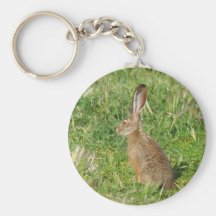 Jack Rabbit keychain