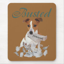 Jack Russel Busted