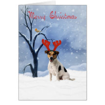 jack russell christmas card - bulldog has reindeer
