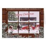 Jack Russell Christmas Wishes Greeting Card