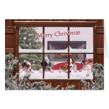 Jack Russell Christmas Wishes Greeting Card