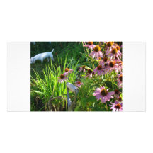 Jack Russell en mes fleurs Photocarte Personnalisée