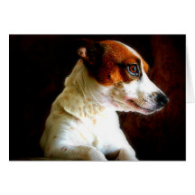 Jack Russell portrait Greeting Card