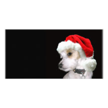 Jack Russell Santa Photo Card Template
