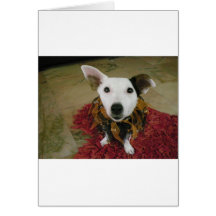 Jack Russell Terrier カード