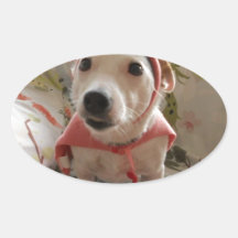 Jack Russell Terrier 卵形シールステッカー
