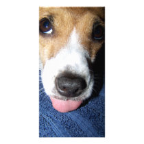 Jack Russell Terrier Bookmark